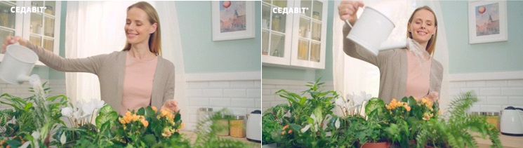 седавіт