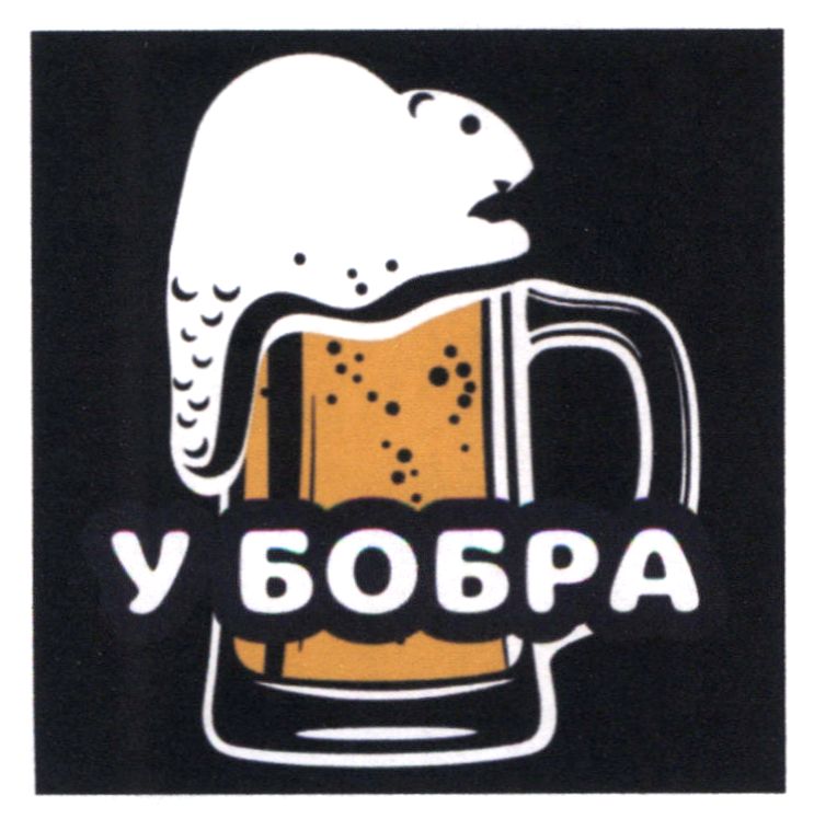 у бобра