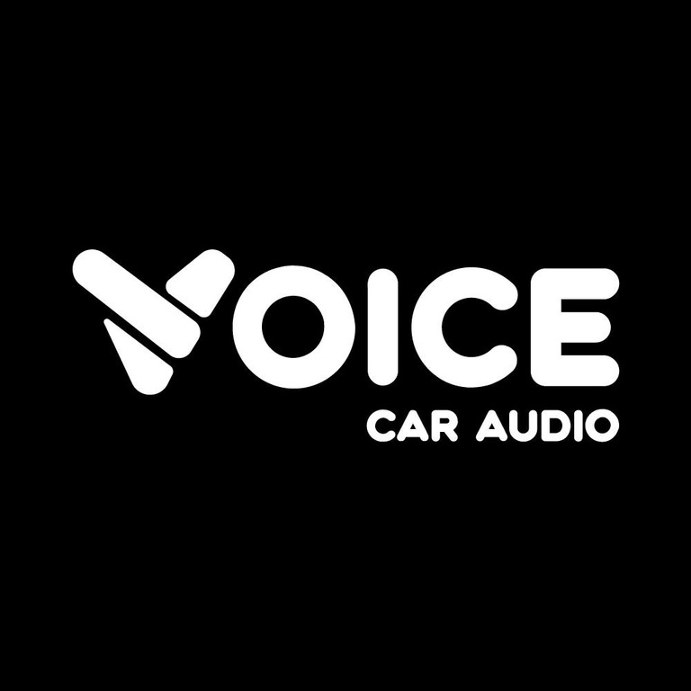 voice car audio