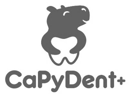 ca py dent+