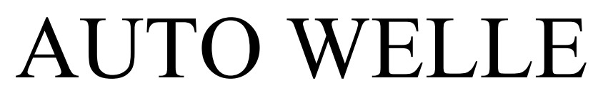 auto welle