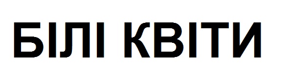 білі квіти