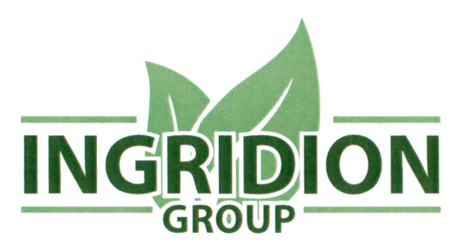 ingridion group