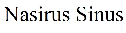 nasirus sinus