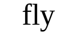 fly