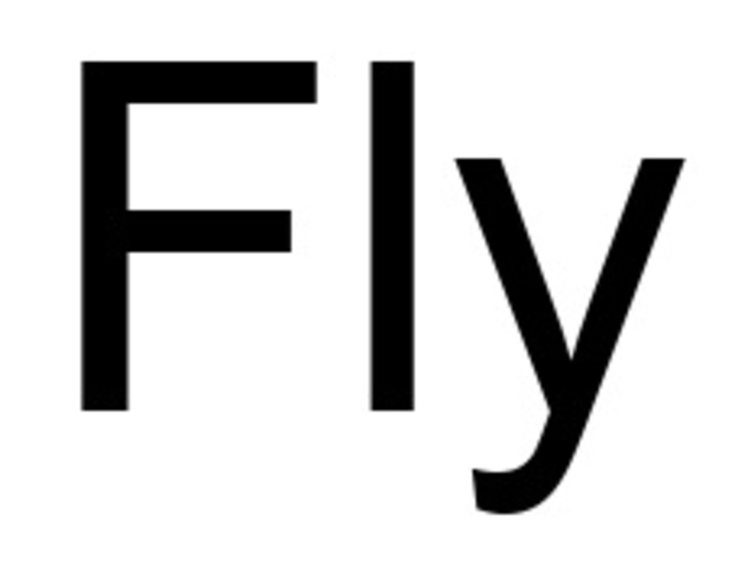 fly