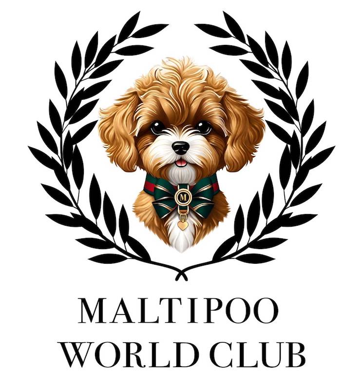 Зображення марки «maltipoo world club»