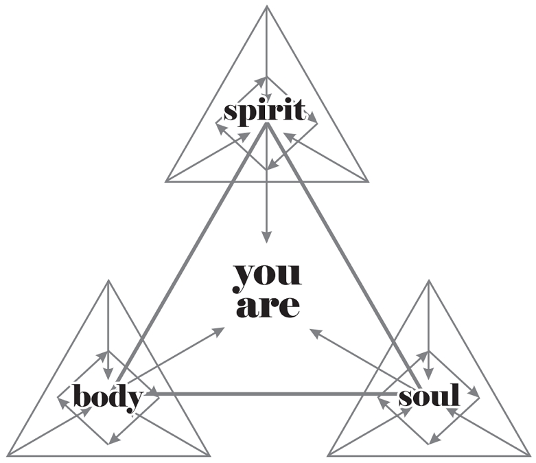 you are