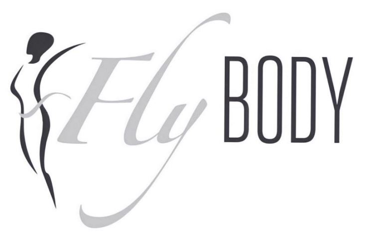 fly body