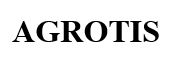 agrotis
