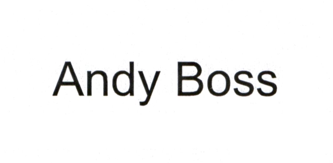 andy boss
