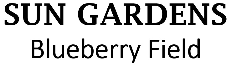 sun gardens blueberry field