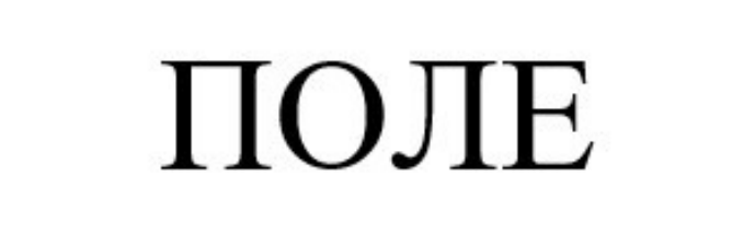 поле