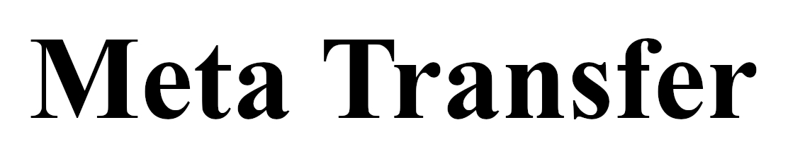 meta transfer