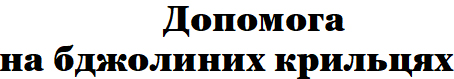 допомога на бджолиних крильцях