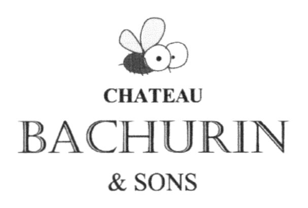 chateau bachurin & sons
