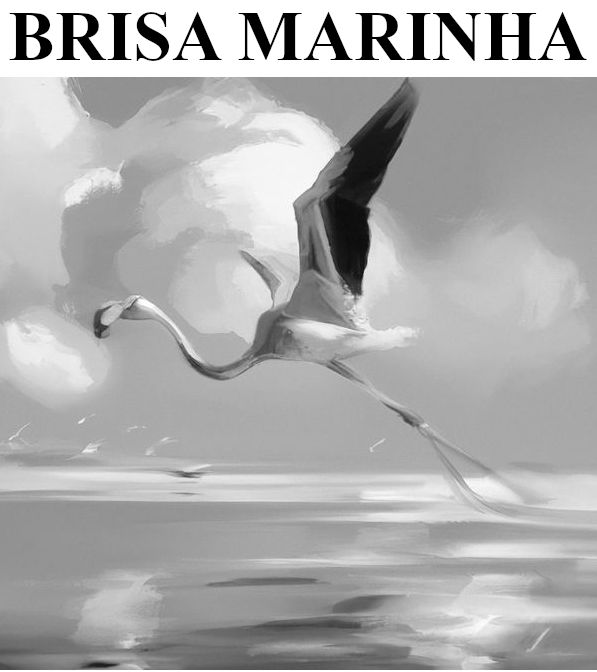 brisa marinha