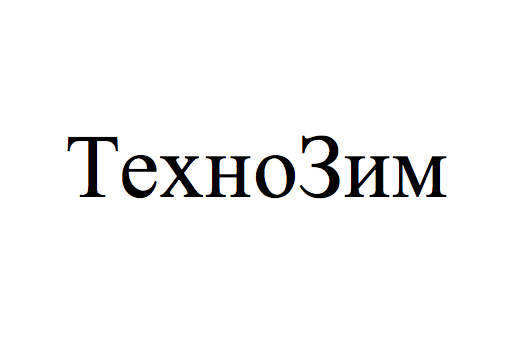 техно зим