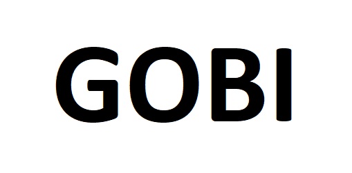 gobi