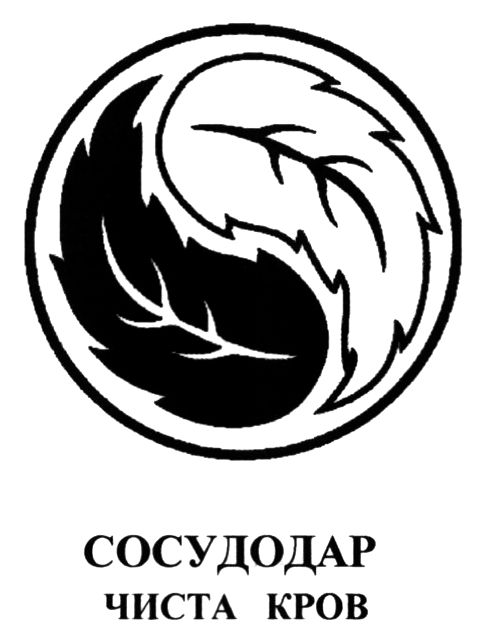 чиста кров