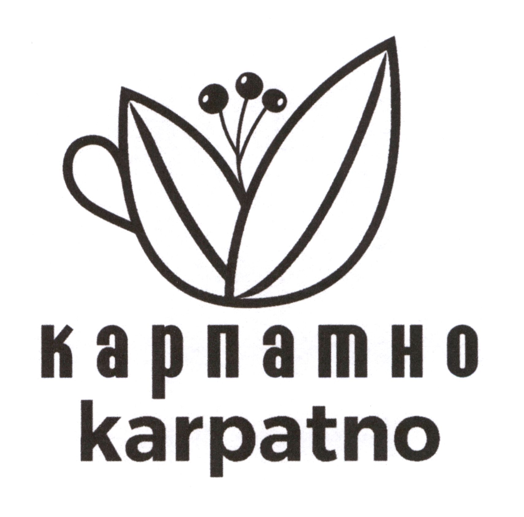 карпатно