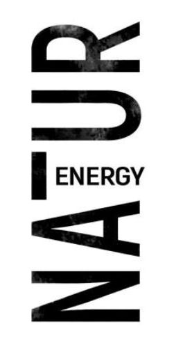 natur energy