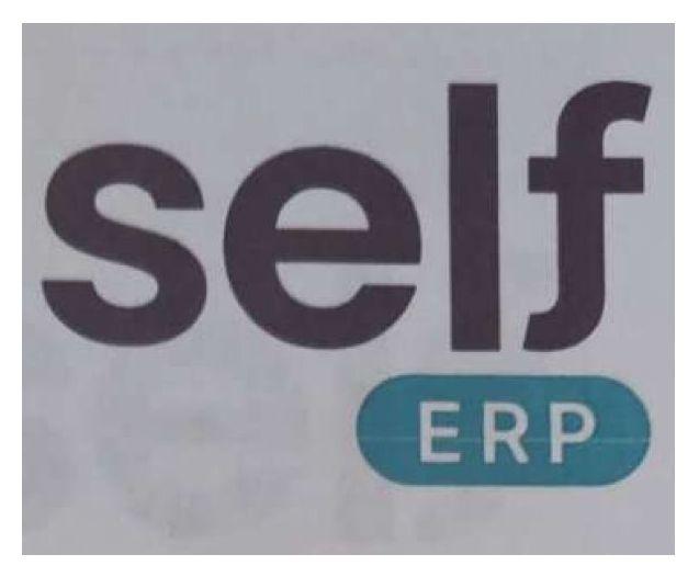 self erp
