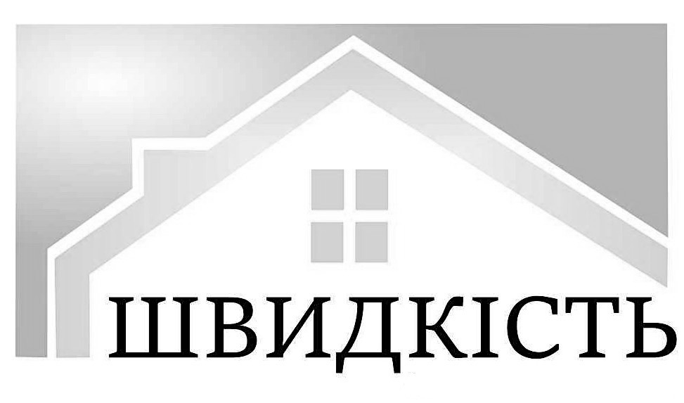 швидкість