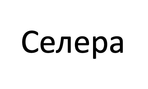 селера