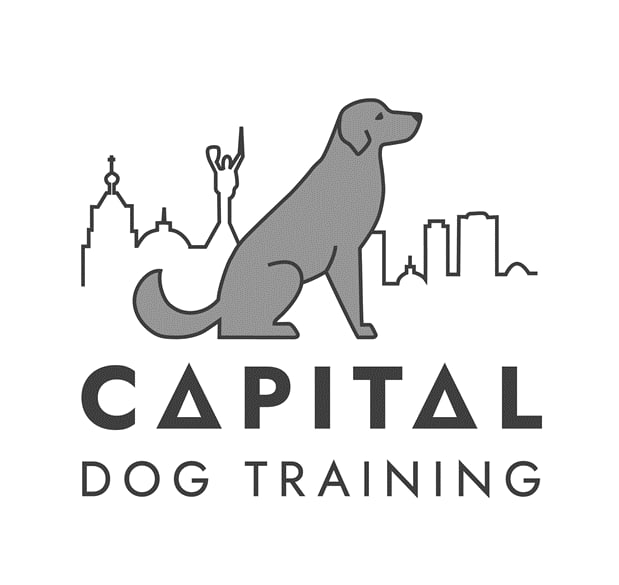 capital dog training