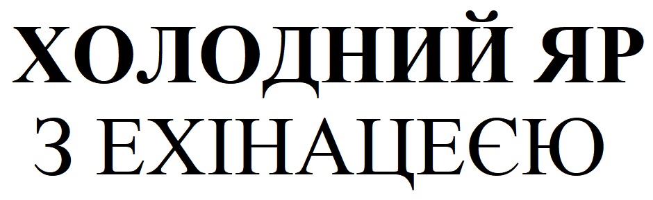 холодний яр з ехінацеєю