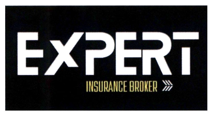 expert insurance broker