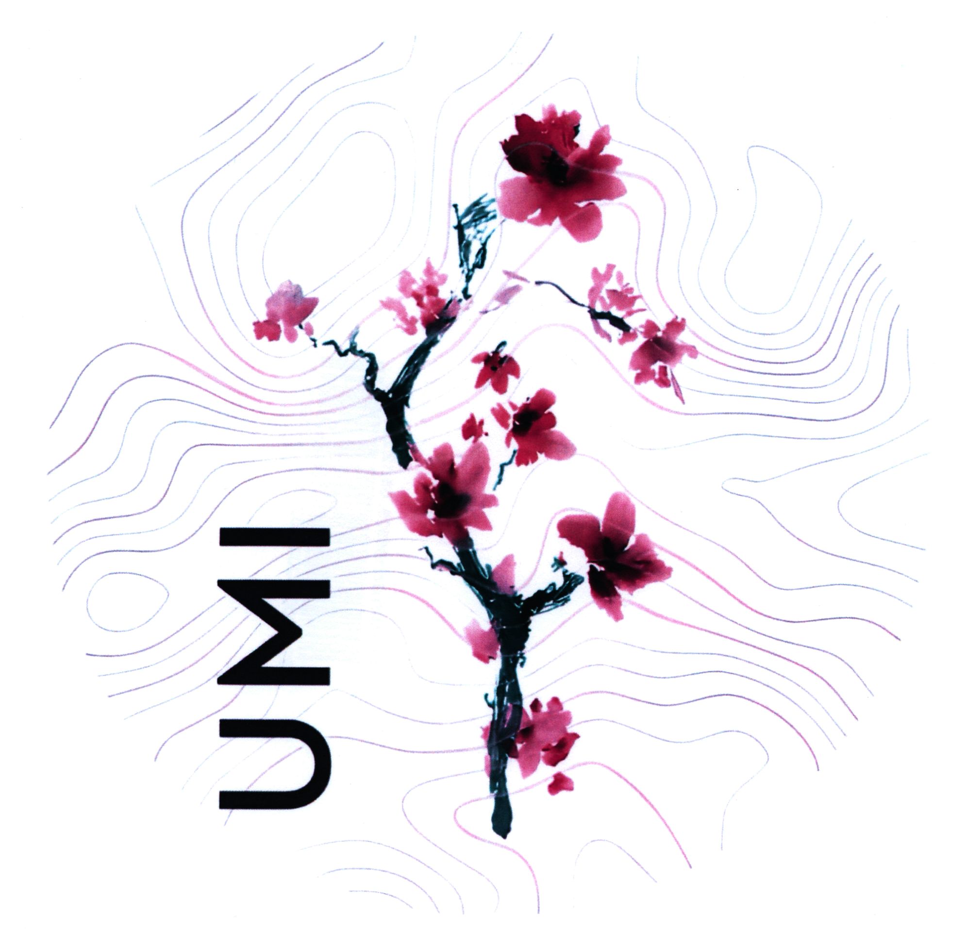 umi