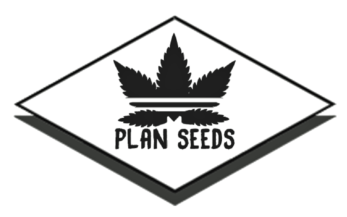 plan seeds