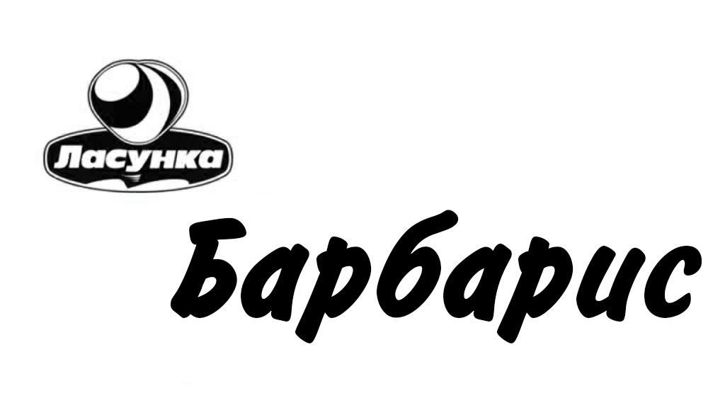 барбарис