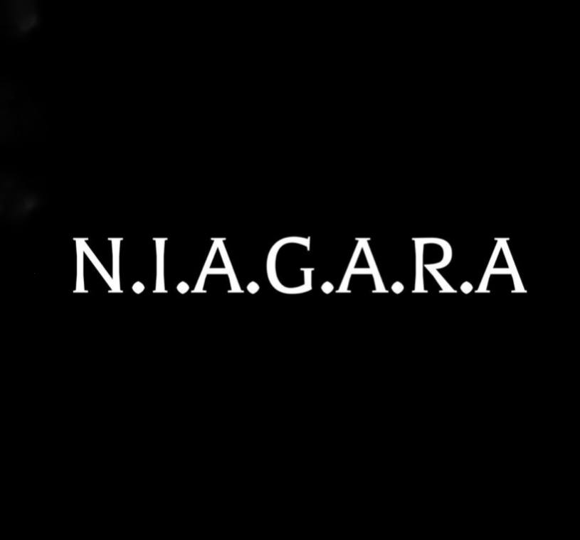 n.i.a.g.a.r.a