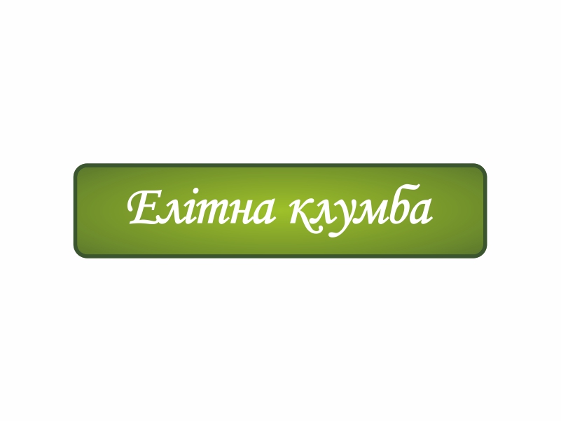 елітна клумба
