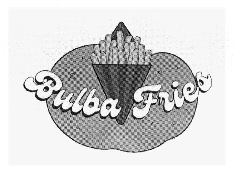 bulba fries