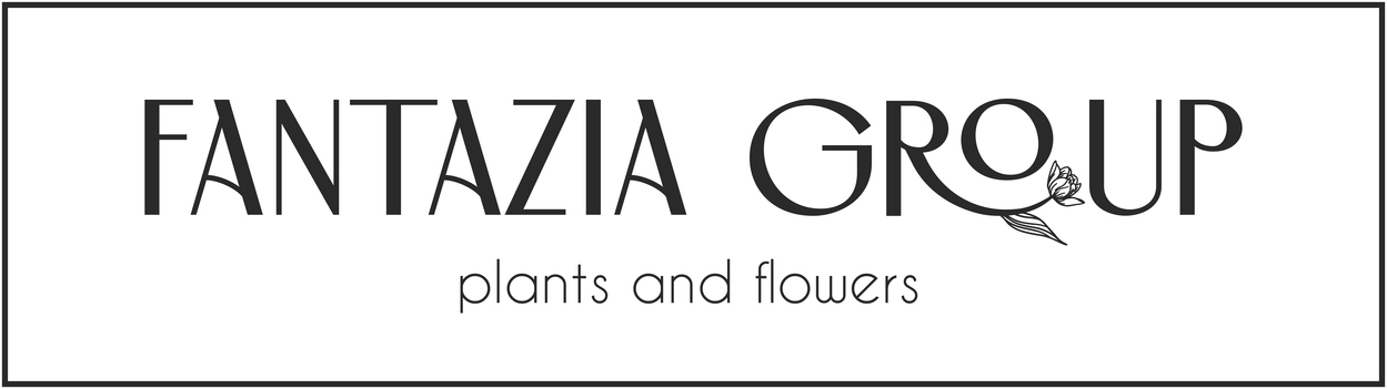 plants and flowers