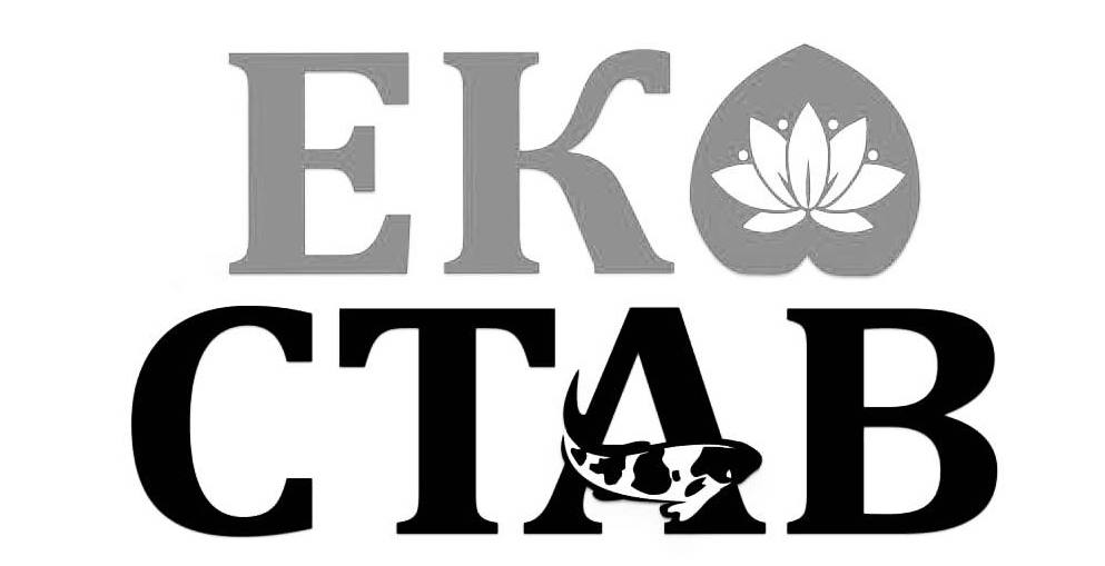еко став