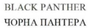 black panther