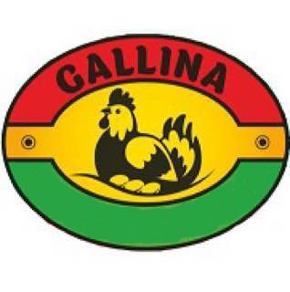 gallina