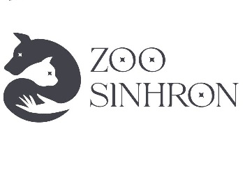 zoo sinhron