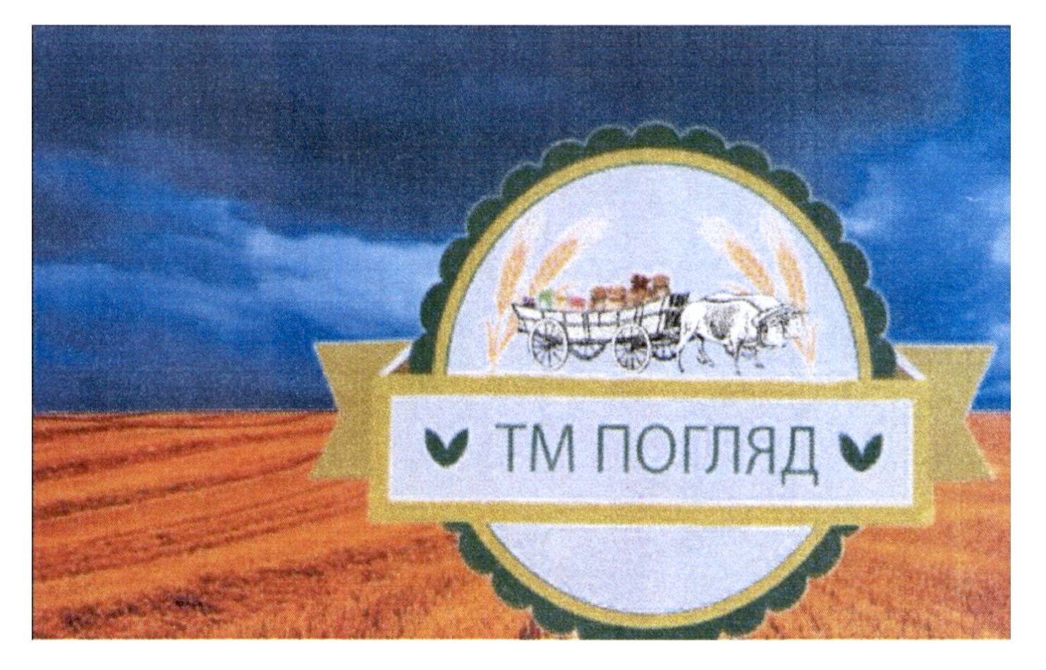 тм погляд