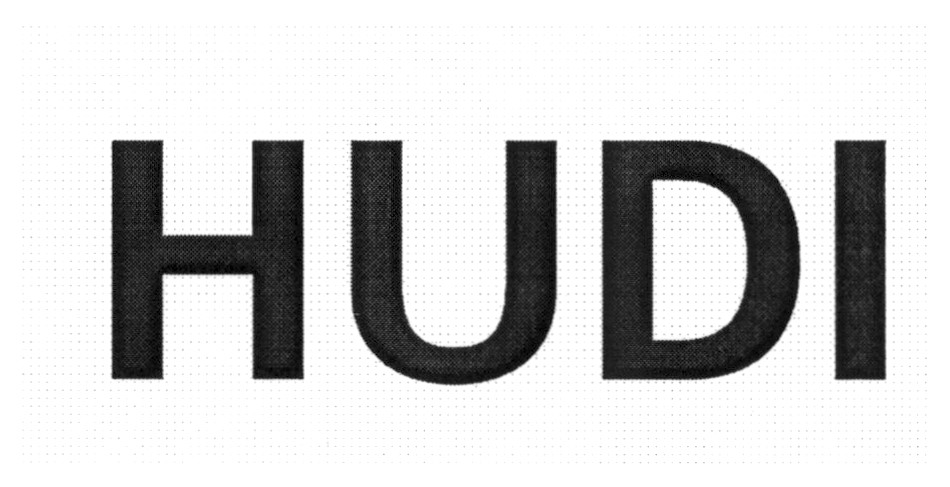 hudi