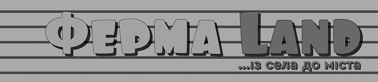 із села до міста