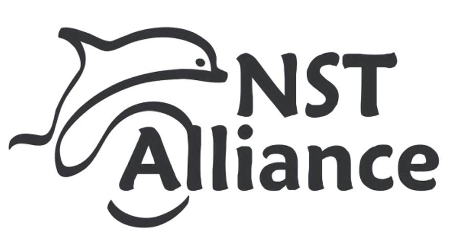 nst alliance