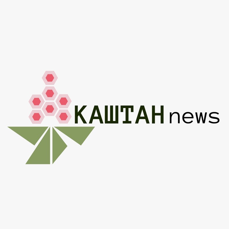 каштан news