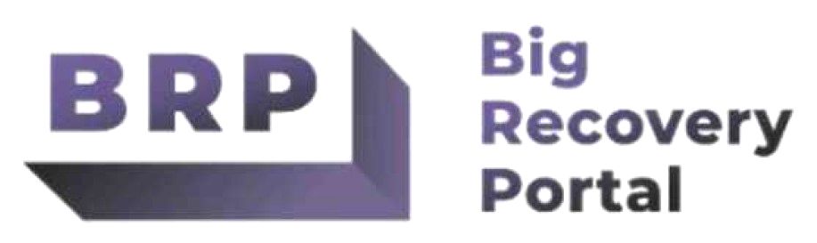 big recovery portal
