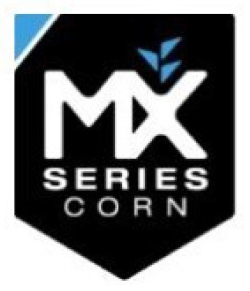 mx series corn
